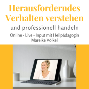 23. September 2026 - Online Input - Herausforderndes Verhalten verstehen und professionell handeln